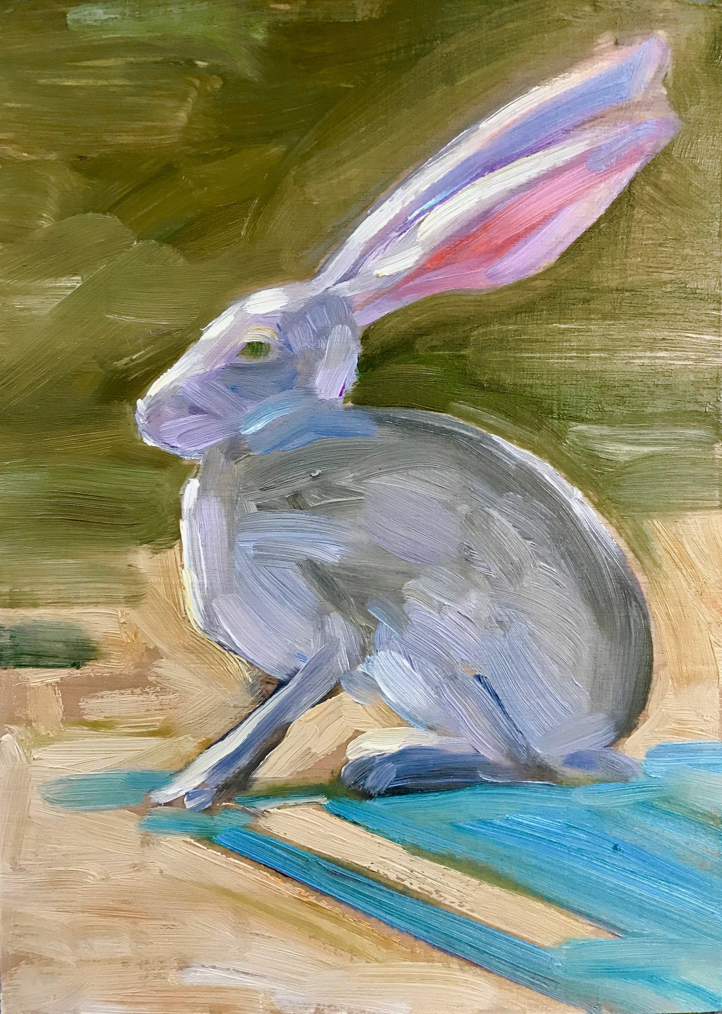 jack rabbit