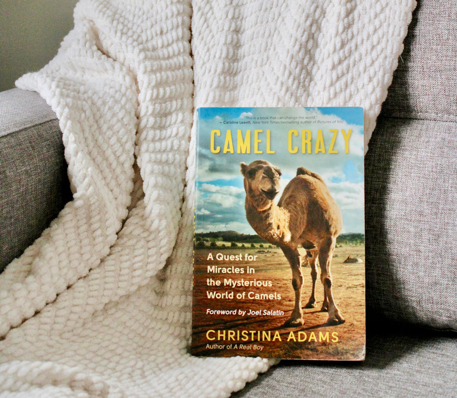 the camel club books