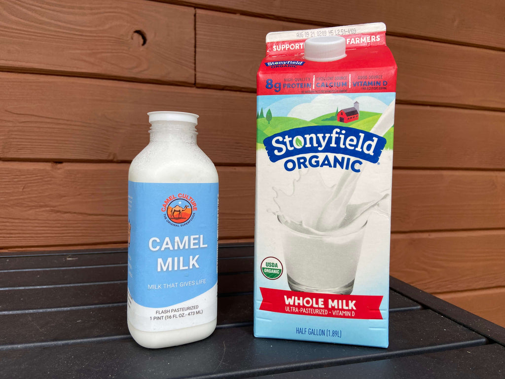 camel milk and cow milk