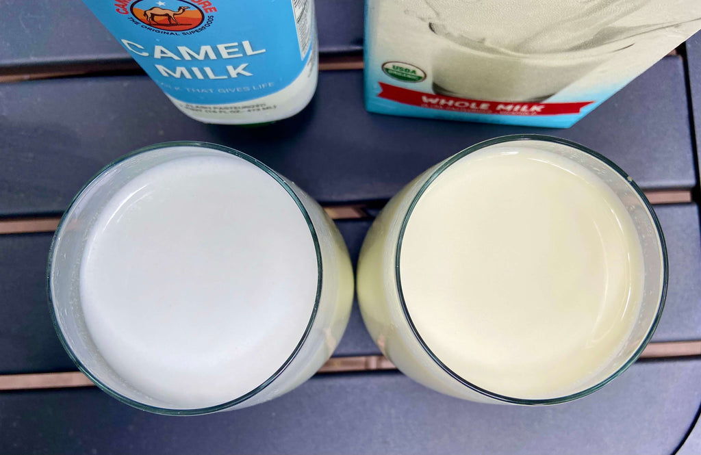 comparison of camel milk to cow milk