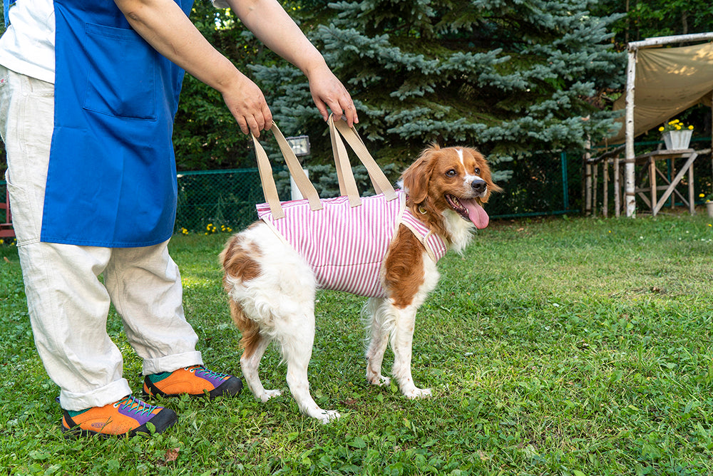 超熱 【たわし様専用】ロイヤルカナン満腹感サポートCLT小型犬用