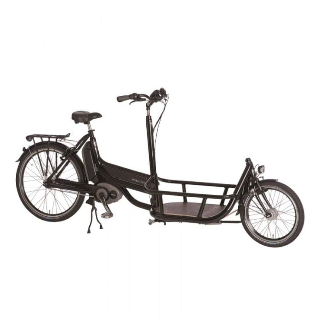 electric bike with cargo carrier