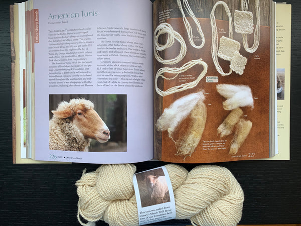 The Fleece and Fiber Sourcebook open to a page about Tunis, which includes photos of raw and washed fleeces, yarn and knit swatches. A creamy skein of Tarheelbilly Farm's Tunis lies beneath the open book.
