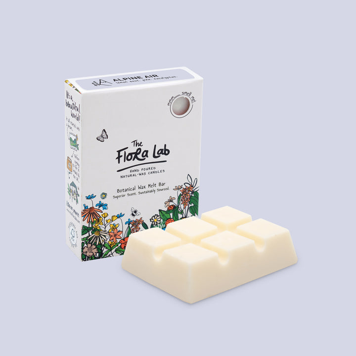 Scented Wax Melts Box: Summer Bliss I 12 Fragrant Melts in 6 Exquisite –  Shades Factory