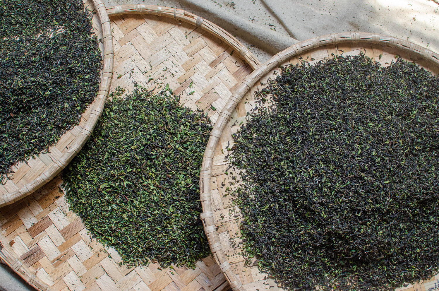 Darjeeling loose leaf tea