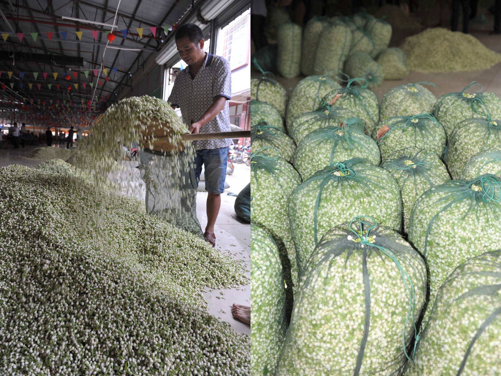 jasmine flower market