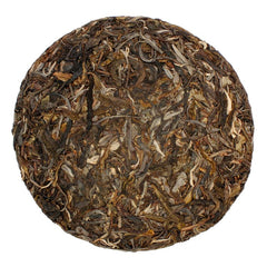 jingmai old forest pu-erh