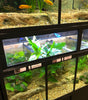 THRIVE Freshwater Fish Enclosures