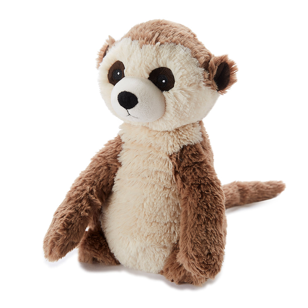 meerkat teddy