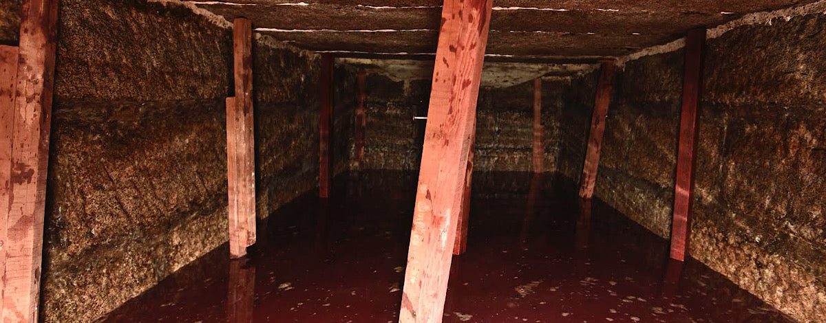 コップでカジュアルに楽しむのもおすすめ！日本初のヨーロッパ型横蔵式地下発酵槽「石蔵発酵槽」で仕込むマスカット・ベーリーAの赤ワイン