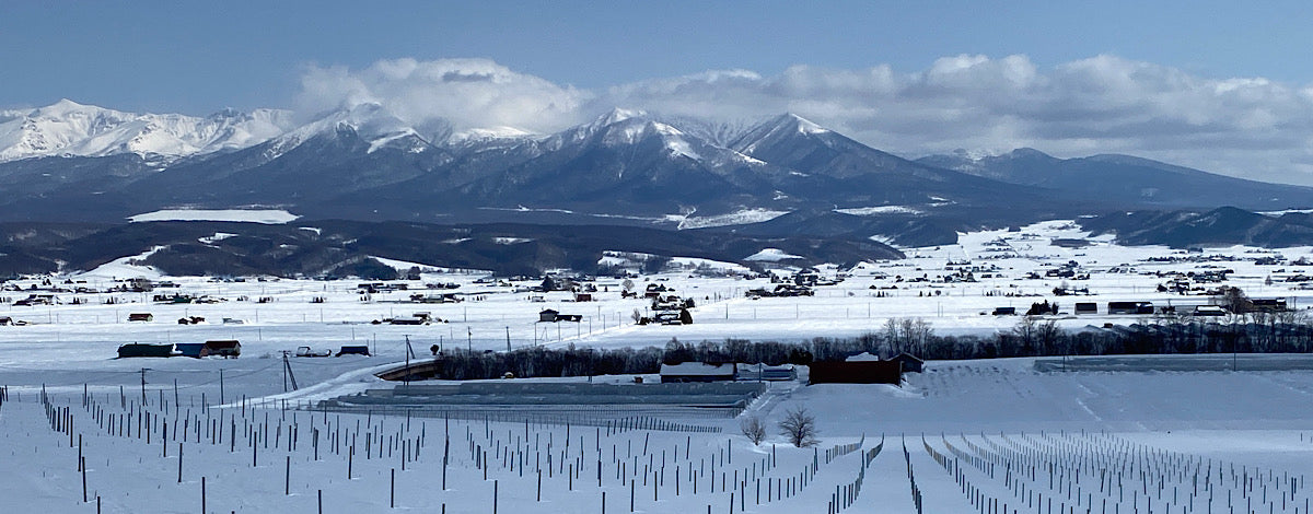 「サクラアワード2023」シルバー受賞！北海道中富良野で育てられたツヴァイゲルトレーベとピノ・ノワールを混醸で仕上げた赤ワイン