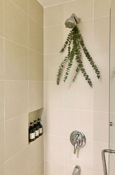 Shower Area with Mayfair & Co. Oxford BPA-Free Pump Decanters