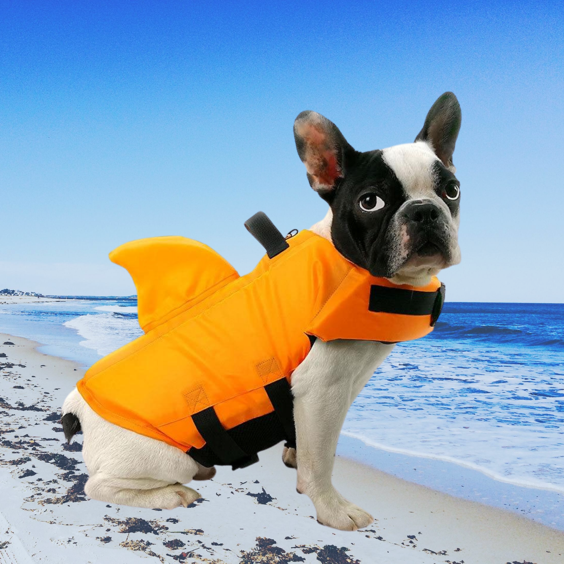 SharkDog Safety Life Vest