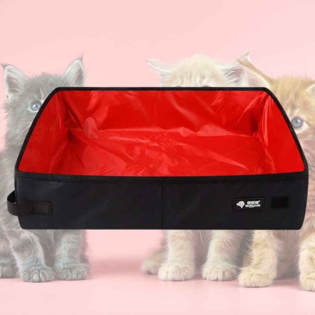 Travelling Kitty Litter Tray