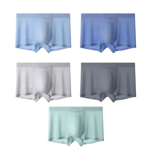 Men's Dual Pouch Ice Silk Trunks (5-Pack) - JEWYEE 8063 - M (32-34)