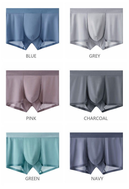 Ultra Thin Ice Silk Panties for Women (Pack of 5) - JEWYEE 1190
