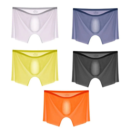 Jewyee Mens Silk Underwear, Jewyee Underwear, Ultra Thin Ice Silk Seamless  Underpants For Men 6-Pack Jewyee 1118 (6 PCS, L)