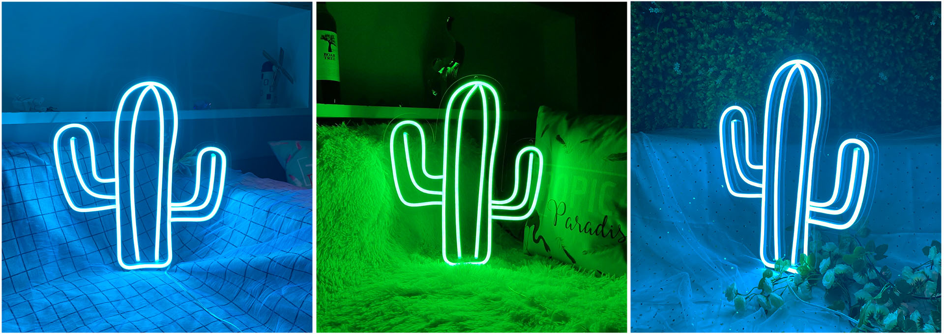 Cactus cool neon lamp light sign Real-life photography
