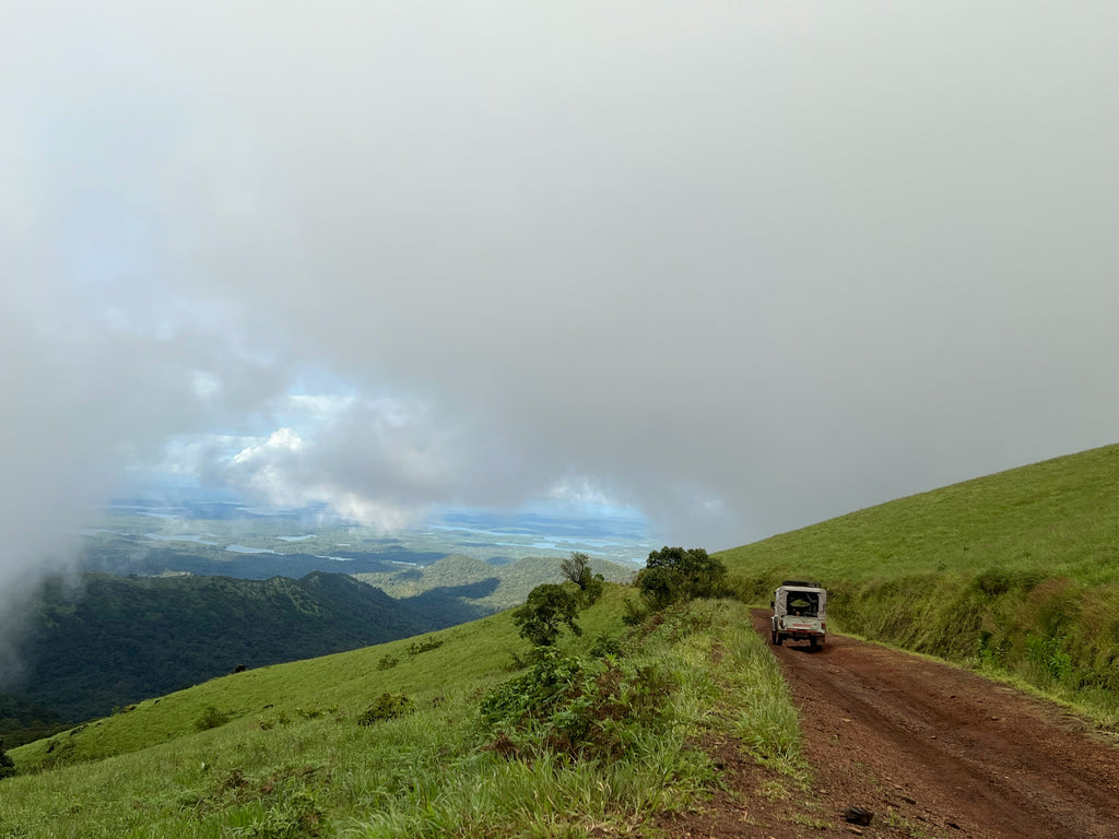 Road Trips in Spring