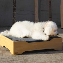 Afbeelding in Gallery-weergave laden, Hedognist bed van Halcyon met hondje op exclusief bij Bobby &amp; Clyde
