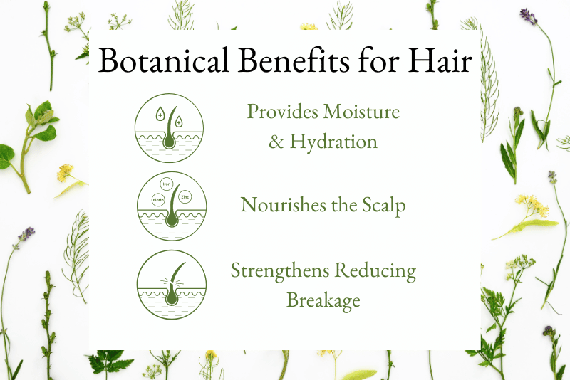 The Benefits Products infused with Botanical Blends for Curly Hair