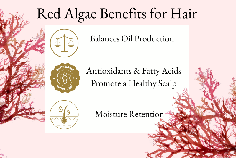 A chart with red algae and a desciption of how it benefits your hair