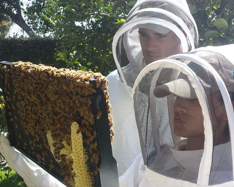 Why Do Beekeepers Give Up?