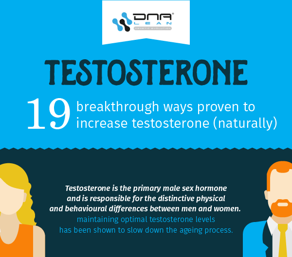 how to increase testosterone