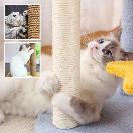 griffoir chat beige installation facile