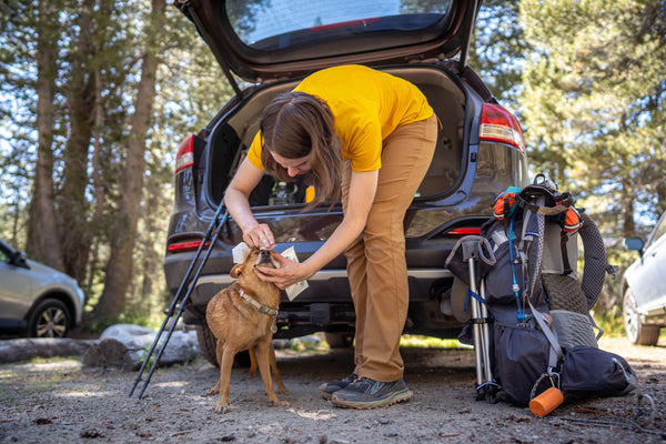 Woman wearing yellow shirt and brown pants cleaning off a small brown dog with Metro Wipes grooming wipes. They stand in front of the open trunk of a black SUV and next to hiking gear.