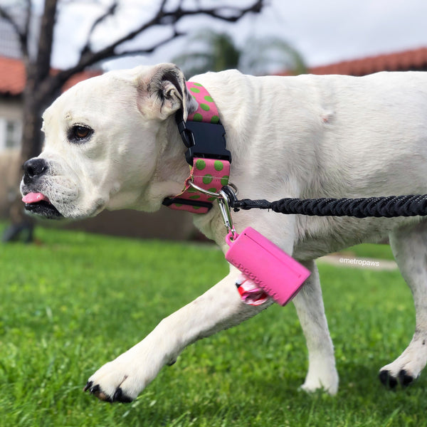 White dog walking with Pink Poopcase