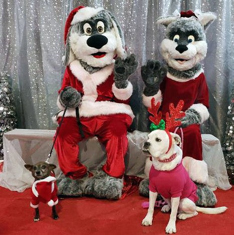 Chihuahua and American Bulldog photo with Santa Paws