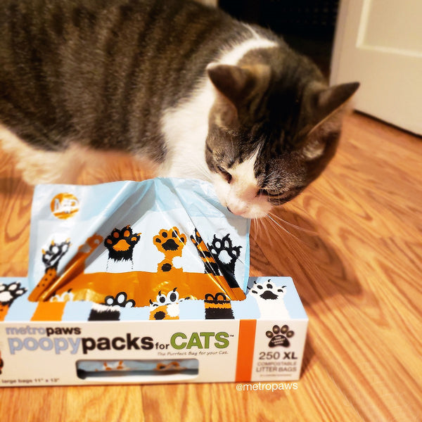 Cat with Poopy Packs for Cats, degradable daily litter cleanup bags