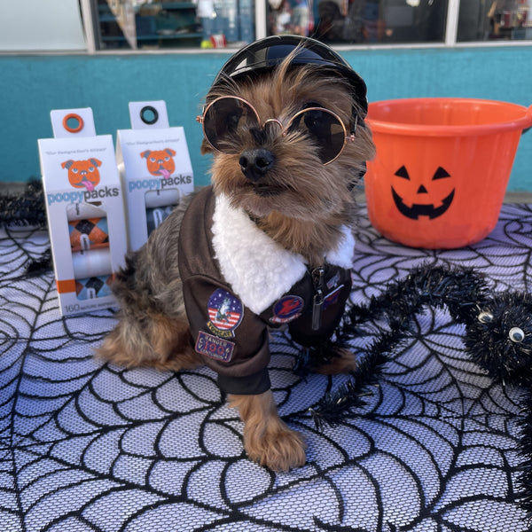 Dog sitting on table with Metro Paws products dressed in pilot costume