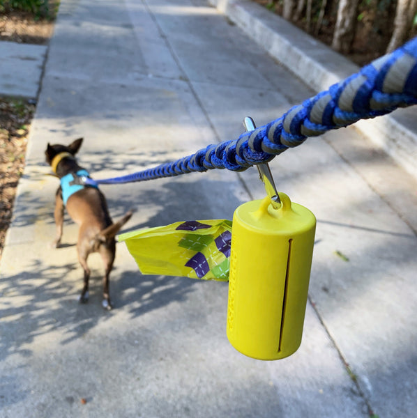 Black chihuahua walking with a blue braided leash, yellow Poopcase, and yellow Poopy Packs