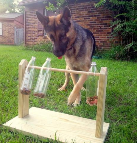 DIY Dog Puzzles – Impact Dog Crates