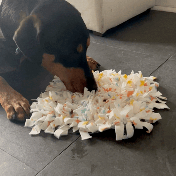 Doberman puppy playing with DIY snuffle mat