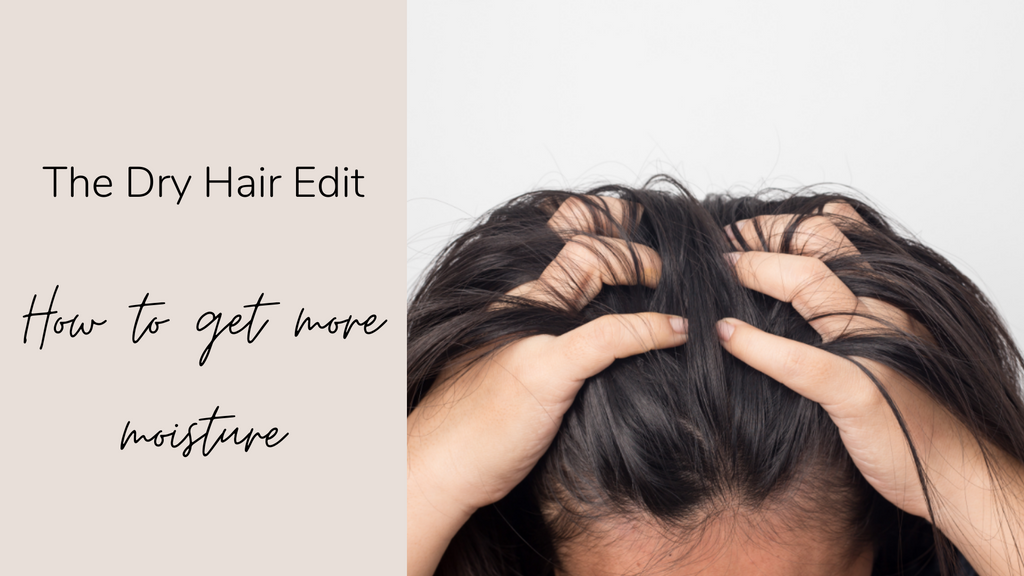 The Dry Hair Edit- How to Truly Hydrate and Get Healthier Hair – Hair  Holistic