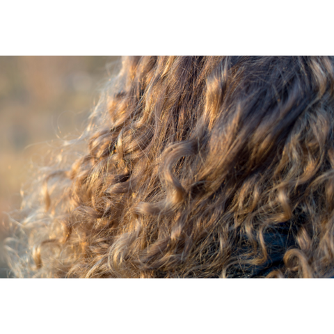 fluffy curly hair blowing in the wind