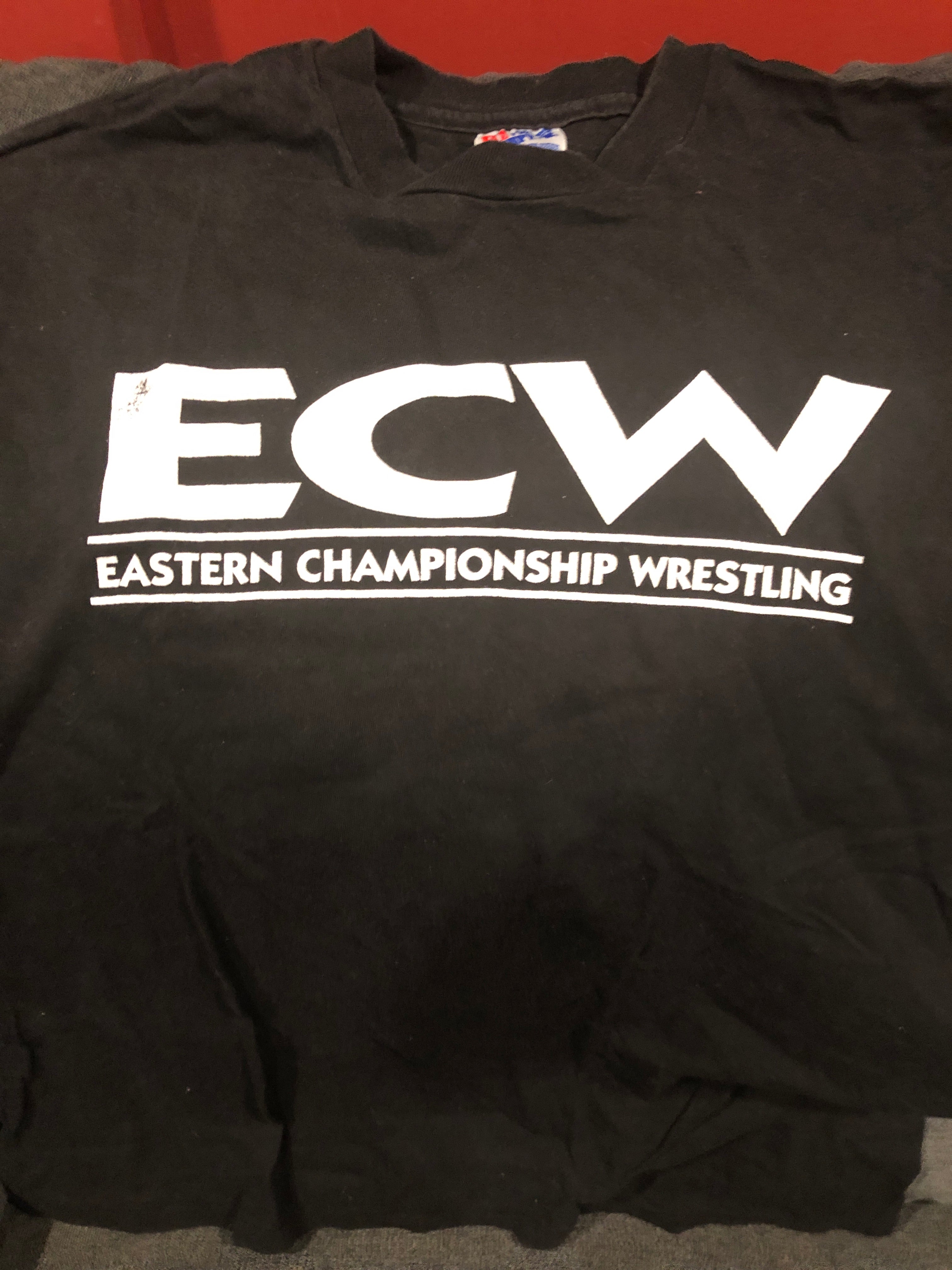 Original ECW Eastern Logo T-Shirt (Size: XL / Worn) – Signed By Superstars