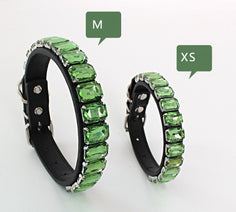 NEW Bling Stone dog collar Nav Image 4