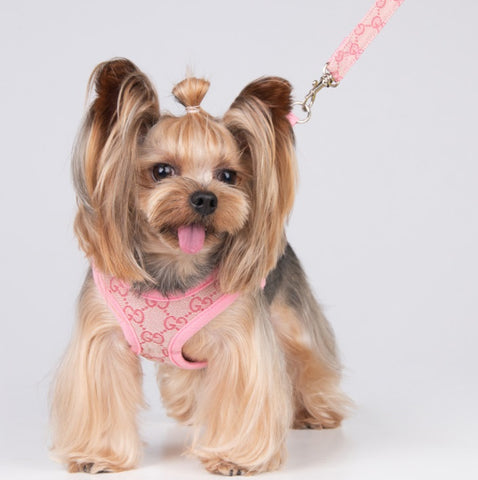 Dog harnesses – Isle For Dogs Boutique LTD