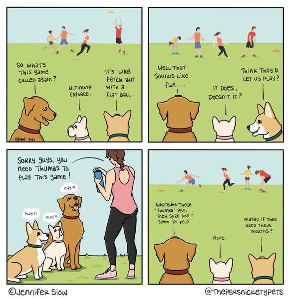 Persnickety Pets: Ultimate frisbee comic