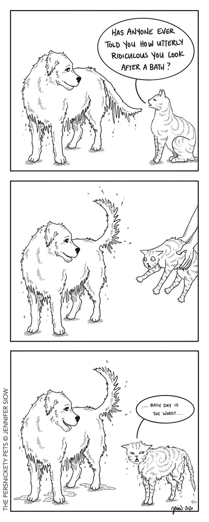 Persnickety Pets: The Persnickety Pets Comic 12/13/20