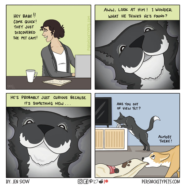 The Persnickety Pets comic by Jen Siow: “Inside Job”