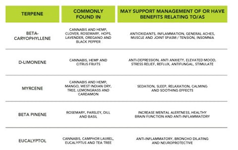 ECS Botanics - Luxe Tribe Wellness Dispensary