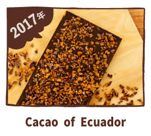 Cacao of Ecuador