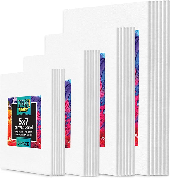 Canvas Panels Canvas Boards for Painting (8x10 Canvases - 20 pcs Value  Pack)