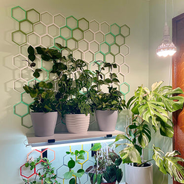 living wall trellis to make plant wall with light
