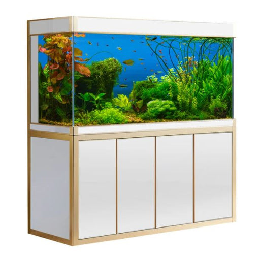 Aqua Dream 175 Gallon Glass Aquarium [AD-1560] — Skyland Pro